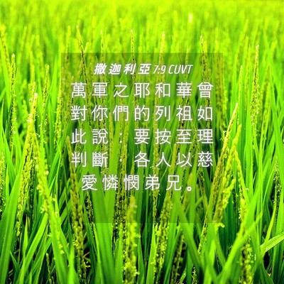 Picture 04 - 撒 迦 利 亞 7:9 CUVT - 萬 軍 之 耶 和 華 曾 對 你 們 的 列 - Bible Verse Picture