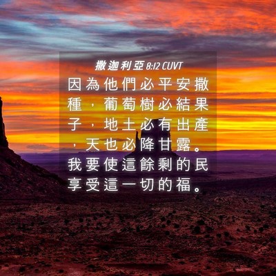 Picture 04 - 撒 迦 利 亞 8:12 CUVT - 因 為 他 們 必 平 安 撒 種 ， 葡 萄 - Bible Verse Picture