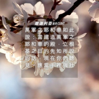 Picture 04 - 撒 迦 利 亞 8:9 CUVT - 萬 軍 之 耶 和 華 如 此 說 ： 當 建 - Bible Verse Picture