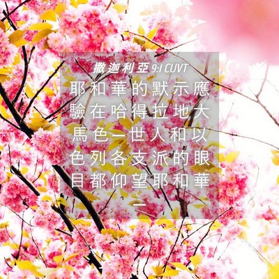 Picture 04 - 撒 迦 利 亞 9:1 CUVT - 耶 和 華 的 默 示 應 驗 在 哈 得 拉 - Bible Verse Picture