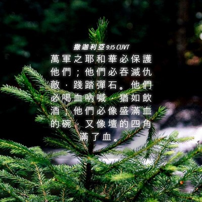 Picture 04 - 撒 迦 利 亞 9:15 CUVT - 萬 軍 之 耶 和 華 必 保 護 他 們 ； - Bible Verse Picture