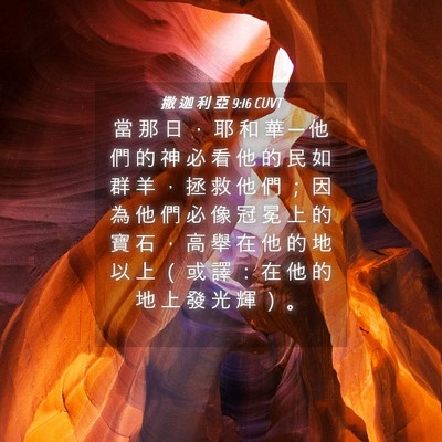 Picture 04 - 撒 迦 利 亞 9:16 CUVT - 當 那 日 ， 耶 和 華 ─ 他 們 的 神 - Bible Verse Picture