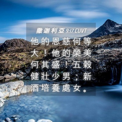 Picture 04 - 撒 迦 利 亞 9:17 CUVT - 他 的 恩 慈 何 等 大 ！ 他 的 榮 美 - Bible Verse Picture