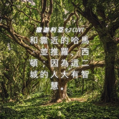Picture 04 - 撒 迦 利 亞 9:2 CUVT - 和 靠 近 的 哈 馬 ， 並 推 羅 、 西 - Bible Verse Picture