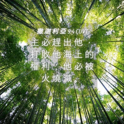 Picture 04 - 撒 迦 利 亞 9:4 CUVT - 主 必 趕 出 他 ， 打 敗 他 海 上 的 - Bible Verse Picture