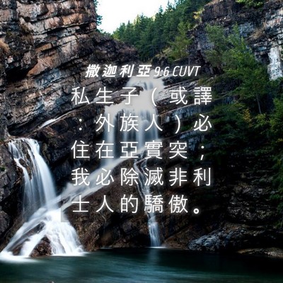 Picture 04 - 撒 迦 利 亞 9:6 CUVT - 私 生 子 （ 或 譯 ： 外 族 人 ） 必 - Bible Verse Picture