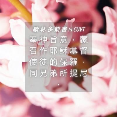 Picture 04 - 歌 林 多 前 書 1:1 CUVT - 奉 神 旨 意 ， 蒙 召 作 耶 穌 基 督 - Bible Verse Picture