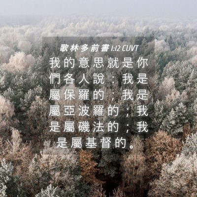 Picture 04 - 歌 林 多 前 書 1:12 CUVT - 我 的 意 思 就 是 你 們 各 人 說 ： - Bible Verse Picture
