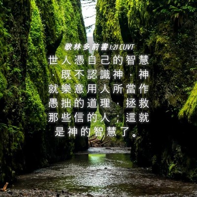 Picture 04 - 歌 林 多 前 書 1:21 CUVT - 世 人 憑 自 己 的 智 慧 ， 既 不 認 - Bible Verse Picture