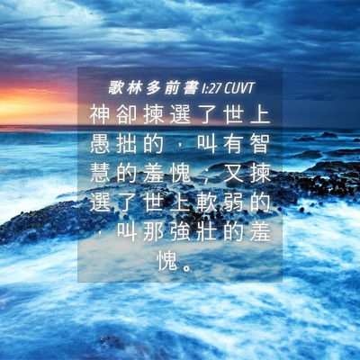 Picture 04 - 歌 林 多 前 書 1:27 CUVT - 神 卻 揀 選 了 世 上 愚 拙 的 ， 叫 - Bible Verse Picture