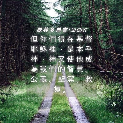Picture 04 - 歌 林 多 前 書 1:30 CUVT - 但 你 們 得 在 基 督 耶 穌 裡 ， 是 - Bible Verse Picture