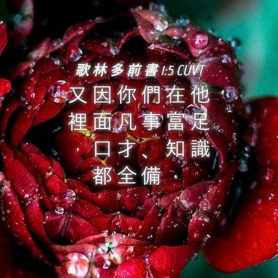 Picture 04 - 歌 林 多 前 書 1:5 CUVT - 又 因 你 們 在 他 裡 面 凡 事 富 足 - Bible Verse Picture