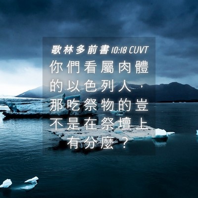 Picture 04 - 歌 林 多 前 書 10:18 CUVT - 你 們 看 屬 肉 體 的 以 色 列 人 ， - Bible Verse Picture