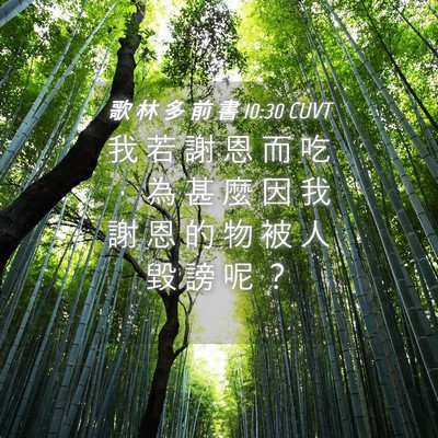 Picture 04 - 歌 林 多 前 書 10:30 CUVT - 我 若 謝 恩 而 吃 ， 為 甚 麼 因 我 - Bible Verse Picture