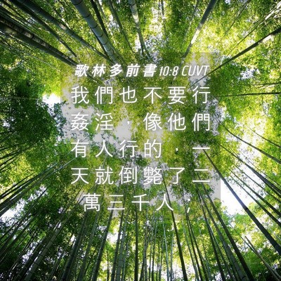 Picture 04 - 歌 林 多 前 書 10:8 CUVT - 我 們 也 不 要 行 姦 淫 ， 像 他 們 - Bible Verse Picture