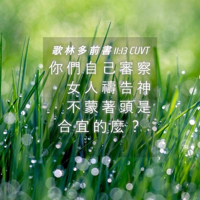 Picture 04 - 歌 林 多 前 書 11:13 CUVT - 你 們 自 己 審 察 ， 女 人 禱 告 神 - Bible Verse Picture