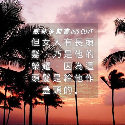 Picture 04 - 歌 林 多 前 書 11:15 CUVT - 但 女 人 有 長 頭 髮 ， 乃 是 他 的 - Bible Verse Picture