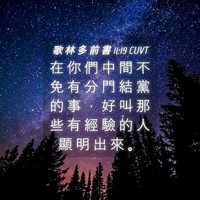 Picture 04 - 歌 林 多 前 書 11:19 CUVT - 在 你 們 中 間 不 免 有 分 門 結 黨 - Bible Verse Picture