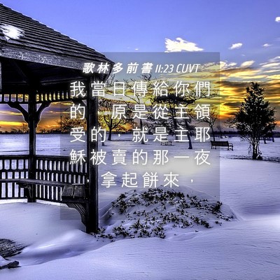Picture 04 - 歌 林 多 前 書 11:23 CUVT - 我 當 日 傳 給 你 們 的 ， 原 是 從 - Bible Verse Picture