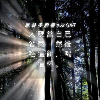 Picture 04 - 歌 林 多 前 書 11:28 CUVT - 人 應 當 自 己 省 察 ， 然 後 吃 這 - Bible Verse Picture