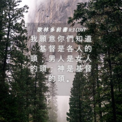 Picture 04 - 歌 林 多 前 書 11:3 CUVT - 我 願 意 你 們 知 道 ， 基 督 是 各 - Bible Verse Picture