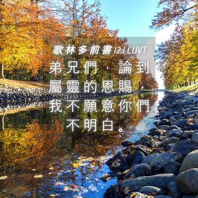 Picture 04 - 歌 林 多 前 書 12:1 CUVT - 弟 兄 們 ， 論 到 屬 靈 的 恩 賜 ， - Bible Verse Picture