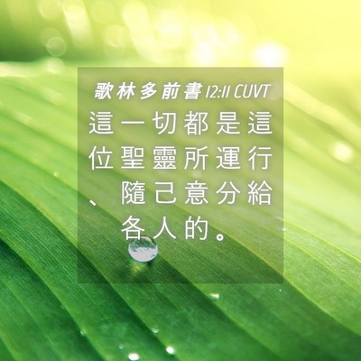 Picture 04 - 歌 林 多 前 書 12:11 CUVT - 這 一 切 都 是 這 位 聖 靈 所 運 行 - Bible Verse Picture