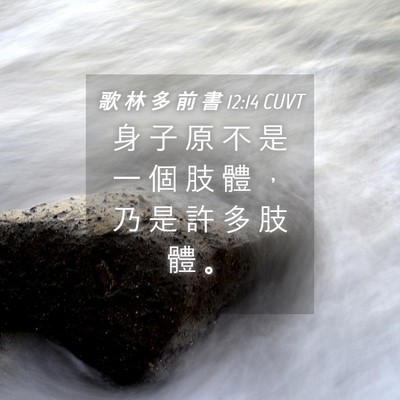 Picture 04 - 歌 林 多 前 書 12:14 CUVT - 身 子 原 不 是 一 個 肢 體 ， 乃 是 - Bible Verse Picture