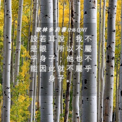 Picture 04 - 歌 林 多 前 書 12:16 CUVT - 設 若 耳 說 ： 我 不 是 眼 ， 所 以 - Bible Verse Picture