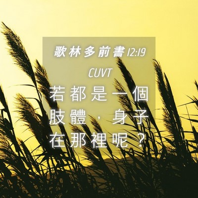Picture 04 - 歌 林 多 前 書 12:19 CUVT - 若 都 是 一 個 肢 體 ， 身 子 在 那 - Bible Verse Picture