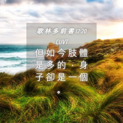 Picture 04 - 歌 林 多 前 書 12:20 CUVT - 但 如 今 肢 體 是 多 的 ， 身 子 卻 - Bible Verse Picture