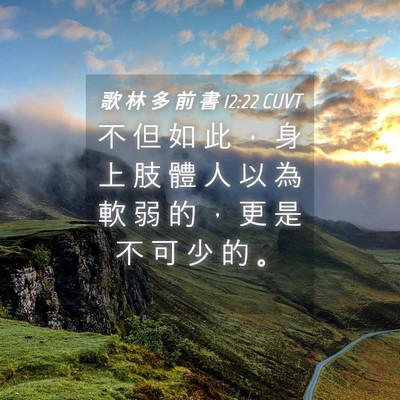 Picture 04 - 歌 林 多 前 書 12:22 CUVT - 不 但 如 此 ， 身 上 肢 體 人 以 為 - Bible Verse Picture