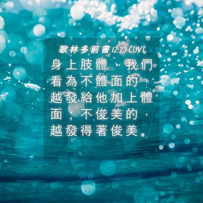 Picture 04 - 歌 林 多 前 書 12:23 CUVT - 身 上 肢 體 ， 我 們 看 為 不 體 面 - Bible Verse Picture