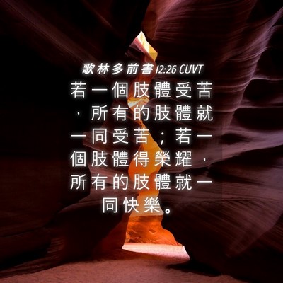 Picture 04 - 歌 林 多 前 書 12:26 CUVT - 若 一 個 肢 體 受 苦 ， 所 有 的 肢 - Bible Verse Picture