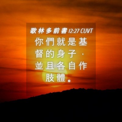 Picture 04 - 歌 林 多 前 書 12:27 CUVT - 你 們 就 是 基 督 的 身 子 ， 並 且 - Bible Verse Picture