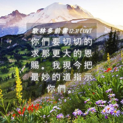 Picture 04 - 歌 林 多 前 書 12:31 CUVT - 你 們 要 切 切 的 求 那 更 大 的 恩 - Bible Verse Picture