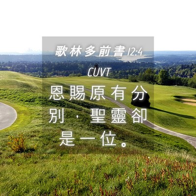 Picture 04 - 歌 林 多 前 書 12:4 CUVT - 恩 賜 原 有 分 別 ， 聖 靈 卻 是 一 - Bible Verse Picture