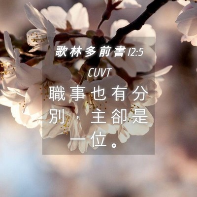 Picture 04 - 歌 林 多 前 書 12:5 CUVT - 職 事 也 有 分 別 ， 主 卻 是 一 位 - Bible Verse Picture