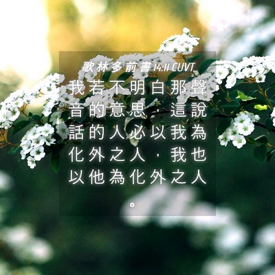 Picture 04 - 歌 林 多 前 書 14:11 CUVT - 我 若 不 明 白 那 聲 音 的 意 思 ， - Bible Verse Picture