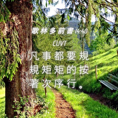 Picture 04 - 歌 林 多 前 書 14:40 CUVT - 凡 事 都 要 規 規 矩 矩 的 按 著 次 - Bible Verse Picture