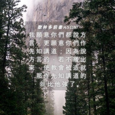 Picture 04 - 歌 林 多 前 書 14:5 CUVT - 我 願 意 你 們 都 說 方 言 ， 更 願 - Bible Verse Picture