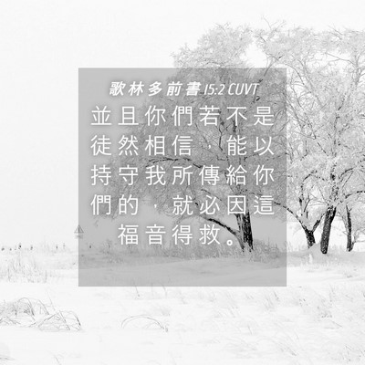 Picture 04 - 歌 林 多 前 書 15:2 CUVT - 並 且 你 們 若 不 是 徒 然 相 信 ， - Bible Verse Picture