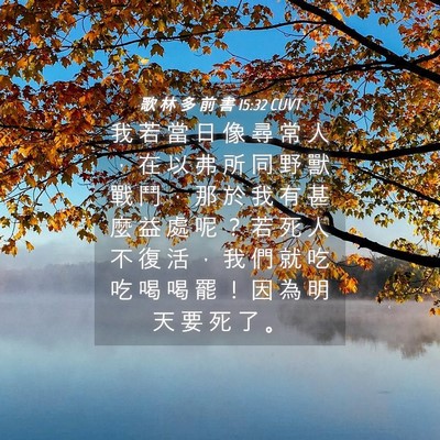 Picture 04 - 歌 林 多 前 書 15:32 CUVT - 我 若 當 日 像 尋 常 人 ， 在 以 弗 - Bible Verse Picture