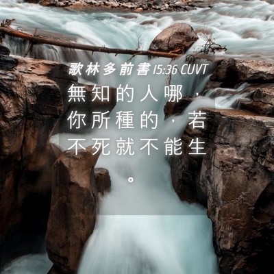 Picture 04 - 歌 林 多 前 書 15:36 CUVT - 無 知 的 人 哪 ， 你 所 種 的 ， 若 - Bible Verse Picture