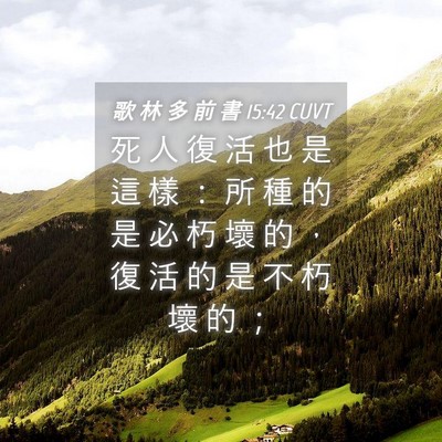 Picture 04 - 歌 林 多 前 書 15:42 CUVT - 死 人 復 活 也 是 這 樣 ： 所 種 的 - Bible Verse Picture