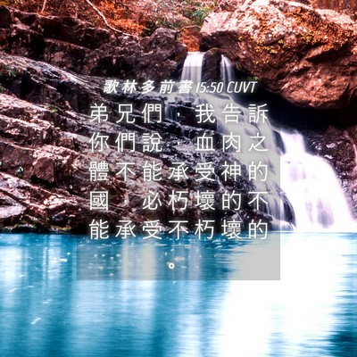 Picture 04 - 歌 林 多 前 書 15:50 CUVT - 弟 兄 們 ， 我 告 訴 你 們 說 ， 血 - Bible Verse Picture