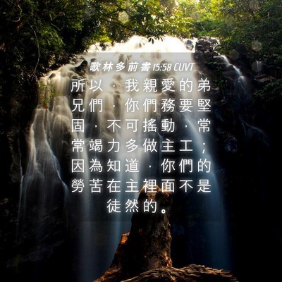 Picture 04 - 歌 林 多 前 書 15:58 CUVT - 所 以 ， 我 親 愛 的 弟 兄 們 ， 你 - Bible Verse Picture