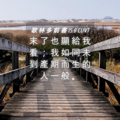 Picture 04 - 歌 林 多 前 書 15:8 CUVT - 末 了 也 顯 給 我 看 ； 我 如 同 未 - Bible Verse Picture