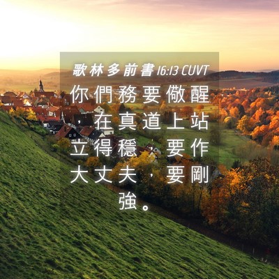 Picture 04 - 歌 林 多 前 書 16:13 CUVT - 你 們 務 要 儆 醒 ， 在 真 道 上 站 - Bible Verse Picture