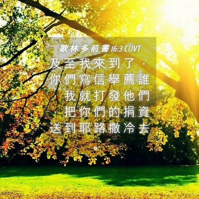 Picture 04 - 歌 林 多 前 書 16:3 CUVT - 及 至 我 來 到 了 ， 你 們 寫 信 舉 - Bible Verse Picture
